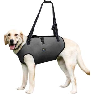 Coodeo Dog Lift Harness, Pet Support & Rehabilitation Sling Lift Adjustable Padded Breathable Straps for Old, Disabled, Joint Injuries, Arthritis, Loss of Stability Dogs Walk (Grey, XL) (Extra Large)