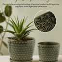 Plant Pots, Flower Pots, Planters for Indoor Plants(6.5+5.5inch), Flower Pots for Indoor Plant with Drainage Hole and Saucer, Ceramic Pots for Plants with Hole Mesh Pad,Reactive Glaze Green