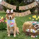 Pet Easter Costume Set Dog Cowboy Hat with Bunny Ears & Easter Egg Bandana Puppy Rabbit Ear Headwear & Reversible Spring Scarf Accessories Holiday Party Photo Props for Medium to Large Dogs
