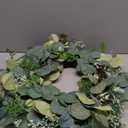 24 Inch Spring Wreath for Front Door, Spring Eucalyptus Wreath for Grapevine Farmhouse with Silk Printing Dollar Leaves Wreaths for Festival Celebration Front Door Wall Window Home Dcor (Green)