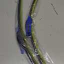 26 inch + 19 inch Compatible with HONDA Accord 2017-2008 Crosstour 2014-2012 SUBARU Outback 2014-2010 Legacy 2014-2010 Front Windshield Wiper Blade Original Equipment Automotive Replacement 2 Pack