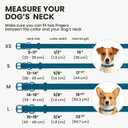 BRONZEDOG Rolled Leather Dog Collar for Small Medium Large Dogs with QR ID Tag (M: 14-16 Inch, Ocean Blue)