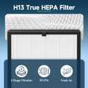 2 Pack F1 Replacement Filter Compatible with AMEIFU F1 Air Purifier, Double-Sided Filters for Home Large Room Up to 2200 Sq Ft, H13 True HEPA and Activated Carbon Filter