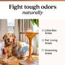 Azuna Pet Odor Eliminator for Strong Odor Gel | Pet Safe | 4 Room Kit
Plant Powered | Dog and Cat Room Deodorizer | Pet Safe Air Fresheners for home | Cedarwood | 4 glass jars and 24oz refill