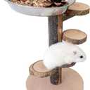 Hamster Food Bowl with Climbing Toys Ladder Stairs, Rat Toys for Pet Rats, Hamster Accessories for Cage, Pet Feeder Food Dish