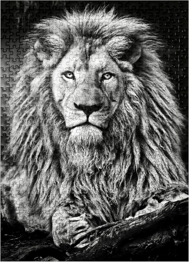 MyPuzzle Black and White Image of Majestic Lion - Premium 500 Piece Jigsaw Puzzle for Adults