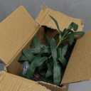 AlphaAcc 18 Inch Artificial Olive Branches Real Looking Potted Plant Fake Olive Tree with Lifelike Leaves and Fruits in Rustic Black Cement Planter Faux Greenery Plant for Indoor Outdoor Decor