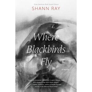Where Blackbirds Fly: A Novel, Format: Paperback