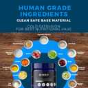 Dog Multivitamin Soft Chews | All-in-One Supplement for Immunity, Joints, Gut & Skin Health | Glucosamine Chondroitin, Vitamins & Probiotics | Roasted Peanut Flavor - 90 Count