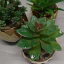 Briful Artificial Succulents Plants in Ceramic Pots, 3 Pack Faux Succulent Set with Gold Geometric Planters – Modern Desk Decor for Home Office Shelf Bathroom, Small Fake Plants Potted