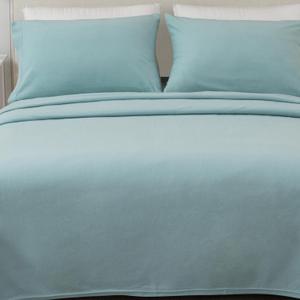 Great Bay Home 4 Piece Micro Fleece Queen Blue Sheet Set | Super Soft, Cozy Extra Plush Polar Fleece Bedding Sheets & Pillowcases | Microfleece Winter Sheets (Queen, Cloud Blue)