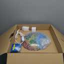 Interactive World Globe for Adults - Large 13 Inch Globe with Stand - Earth Globe with Illuminated Constellations Light Up at Night - Geographic Map for Kids - Educational Learning Gift - Compass to navigate it!