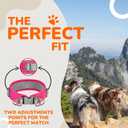 Durable 2-inch AirTag Dog Collar for Medium Dogs  Reflective, Heavy-Duty Metal Buckle, Comfortable Mesh Lining, Includes Patch and AirTag Holder (Pink, Medium: Fit 15" - 18" Neck)