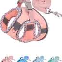Petank Dog Harness for Small Medium Dogs No Pull, Puppy Harness and Leash Set, Step in Dog Harness for Walking, Running, Training, Small Dog Vest, Medium Dog Vest (Pink, M)