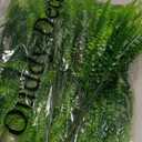 MAQIHAN 10 Pcs Fake Fern - Artificial Ferns for Outdoors - Faux Ferns for Outdoor Planter Large Outdoor Patio Decor Boston Fern Artificial Plants Faux Greenery Porch Decor