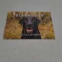 Black Lab Calendar 2025 Labrador Monthly Wall Calender 12 Month | American Made In The USA