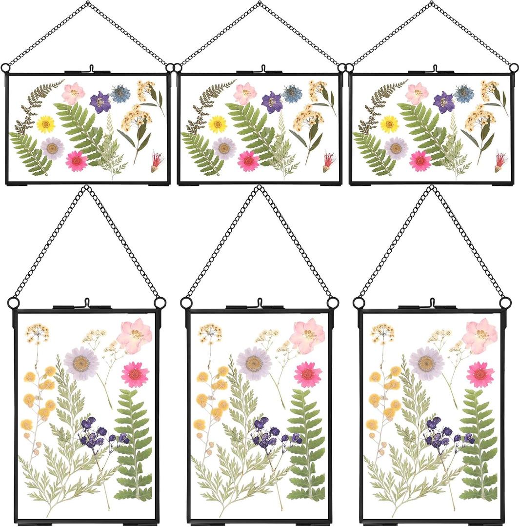 Treela 6 Pcs Pressed Flower Glass Picture Frames 5 x 7 Inch Black Herbarium Botanical Brass Hanging Double Glass Floating Photo Frame Clear Horizontal Vertical Frames with Chain for Gallery Vintage