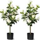 3FT Artificial Camellia Tree 2 Pack, Artificial Plants Outdoor Faux Floral Plant in Cement Pot Fake Silk Camellia Tree Plants for Home House Living Room Office Decor