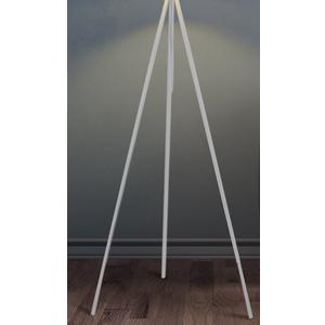 Beige Sticks With Attachments And Cover, 

tripod 66"