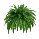 GYERB Large Fake Boston Ferns, 88 Branches Artificial Ferns, Faux Fern Plants for Home, Office, Garden Indoor Outdoor Decoration(48 inch,1pack)