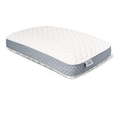 SEALY Essentials Pillow, Standard, White 2 Count & Molded Bed Pillow for Pressure Relief, size 18×28×2 inch, White Grey