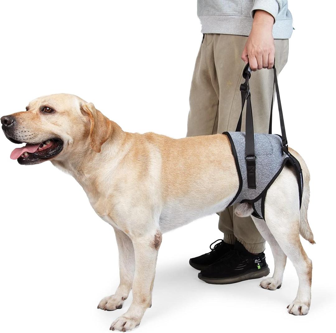 Dotoner Dog Sling for Large Dogs Hind Leg Support to Help Rehabilitate the Hind Limbs of Elderly Dogs with Weak Hind Legs Disabilities and Injuries Dog Harness Helps Arthritis ACL RecoveryXL,Grey