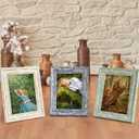 AAQ 8x10 Picture Frame of 3 Set- Picture Frames with HD Plastic Cover,Farmhouse Picture Frames for Table or Wall Hanging (Multicolour)