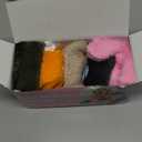 FIREOR Dog Squeak Toys, No Stuffing Plush Crinkle Water Bottle Dogs Chew Toy for Small Medium Large Breed Chewer Squeaky Tough Durable Puppy Teething Chewing Interactive Keep Them Busy Birthday Gifts (5 Piece Set)