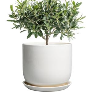 Ceramic Plant Pot - Modern 8 Inch Round Planter for Indoor Outdoor Plants with Drainage Hole and Saucer, Home House Room Office Decor, White