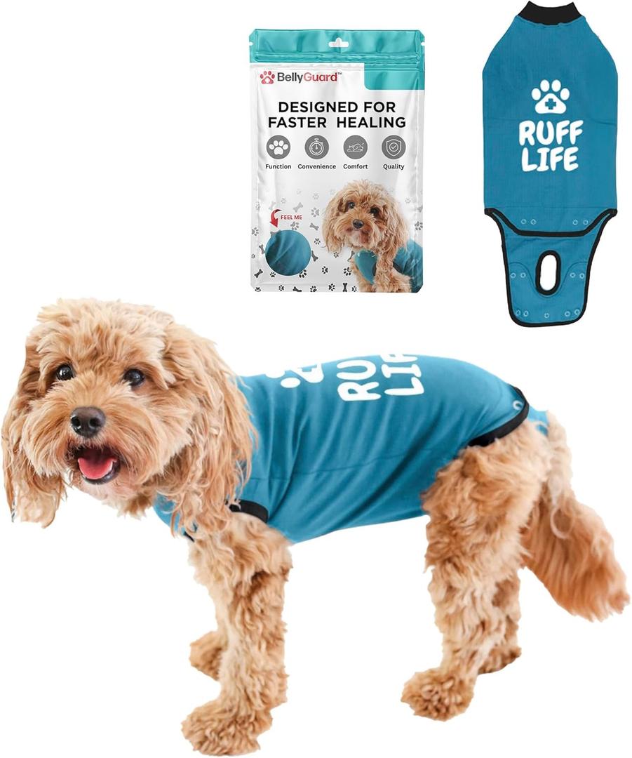 BellyGuard Recovery Suit for Dogs, Comfy Dog Surgery Suit, Female Spay and Male Neuter Onesie for Post-Op Care (Mini, Blue)