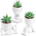 Der Rose 3 Pack Fake Plants Artificial Succulents Plants for Room Bathroom Home Office Desk Accessories Decor for Women (White)