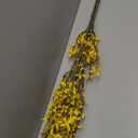 Giegxin 45 Inch Artificial Yellow Forsythia Flowers Branches Fake Spring Forsythia Long Stem 3 Pcs Silk Orchids Flowers for Vase Floral Arrangement Wedding Party Spring Home Decoration