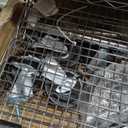 Finnhomy 3 Tier Heavy Duty Commercial Grade Utility Cart, Wire Rolling Cart with Handle Bar, Steel Service Cart with Wheels, Kitchen Carts on Wheels, Metal Cart Shelf Size 24" D x 36" W, NSF, Chrome