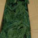 Hananona 9 Ft 2 Pcs Artificial Norfolk Pine Garlands, Realistic Pine Garland, Green Artificial Greenery Garland for Table, Mantle, Wall, Indoor, Outdoor Winter Christmas Decorations (2, 9 FT)