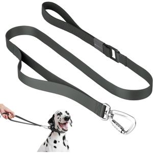 Nylon Dog Leash Heavy Duty But Lightweight w/Elastic and Emergency Two Handles, Easy to Hook, Dog Training Leash Walking Lead for Large Dogs (Space Gray, L)