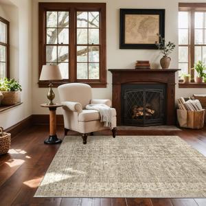 Washable Entryway Small Area Rugs: Door Mat Indoor Entrance 4x6 Boho Rug Stain Resistant Non-Slip Rubber Backing Soft Carpet for Kitchen Front Door Indoor Entrance Entry Bedroom Kids Room
