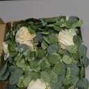Yastouay 6.4 Ft Fuller Flower Garland with Light Butterfly, Artificial Eucalyptus Garland with Champagne Flowers Fake Rose Camellia Vine for Table Centerpiece Wedding Arch Room Decor