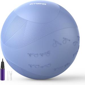 Extra Thick Yoga Ball with Training Instruction, Anti-Burst Slip Resistant Exercise Ball with Pump for Pilates,Physical Therapy,Pregnancy Stability,Birthing Ball 22in 26in 30in (Blue)
