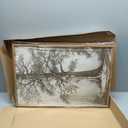 Vintage Tree Canvas Wall Art Framed Rustic Tree Landscape Sketch Antique Painting Neutral Forest Wall Decor 16x24 Inch Farmhouse Botanical Set of 3 for Living Room Bedroom