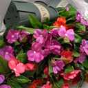 Artificial Flowers for Outdoors, 2 Set Fake Potted Flowers 12 Bundles UV Resistant Realistic Silk Faux Impatiens with Pot for Outside Balcony Garden Window Box