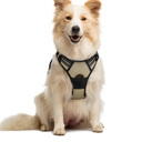 rabbitgoo Dog Harness No Pull with 2 Leash Clips, Adjustable Soft Padded, Reflective Oxford No Choke Pet Vest with Easy Control Handle for Medium Sized Dogs, Beige, M