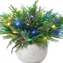 Norfolk Pine Stems, 16 Pcs Real Touch Pine Branches with Lights Christmas Decorations Artificial Greenery Stems for Christmas Table Decor Mantel DIY Garland Home Decorations