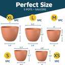 Terracotta Plant Pots with Drainage Holes & Saucers 5 Pack, Indoor & Outdoor Stackable Space-Saving Planters for Houseplants & Flowers, (7", 6.7", 6", 5.3", and 4.8" Inches), Durable & Weatherproof