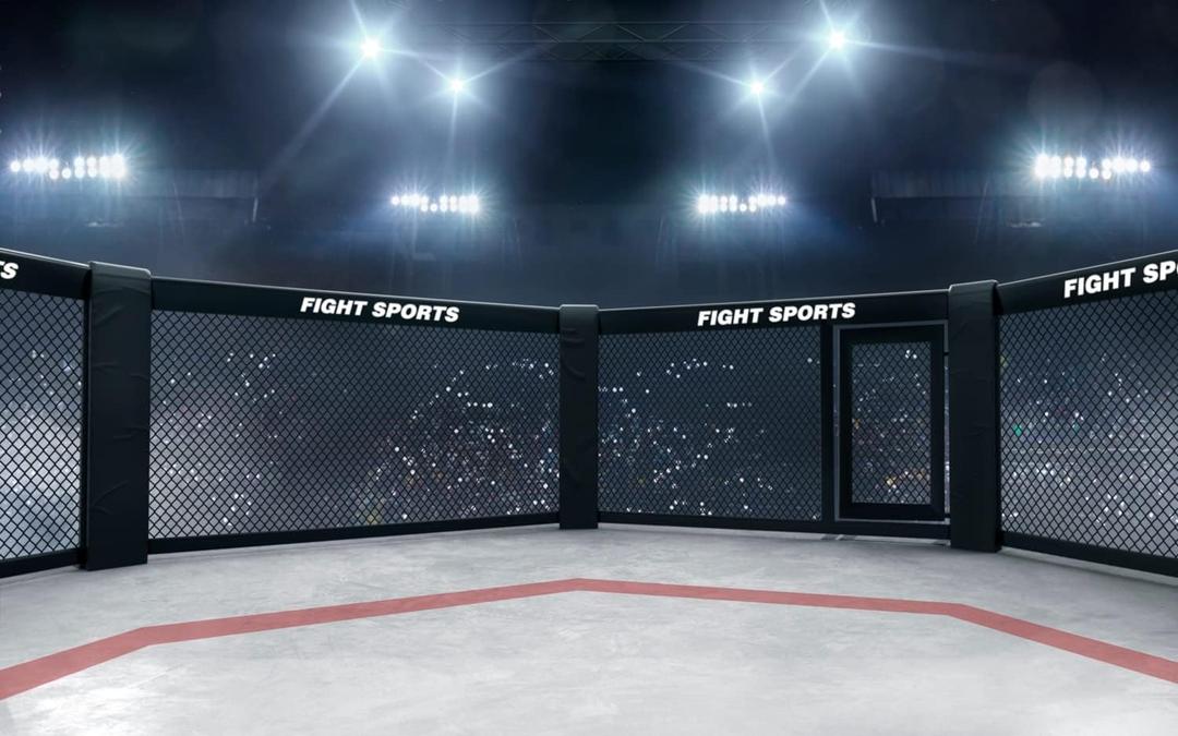 BELECO 7x5FT Fabric Boxing Backdrop Stadium Light 3D Arena Photo Backdrop Fight Sports Competition Ring Photography Background UFC Decor Baby Shower Birthday Party Boys Men Photo Props (Gym-22)
