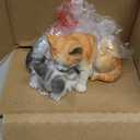 5.13 Inch Sleeping Tabby Kittens Decorative Figurine, Orange and Gray