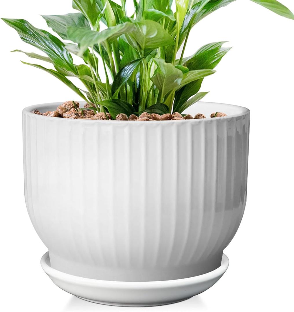 8 Inch Plant Pot,Ceramic Planter with Drainage and Saucer,Ceramic Pots for Plants,Indoor Plant pots,Ceramic Flower pots(Pure White, Plants NOT Included)