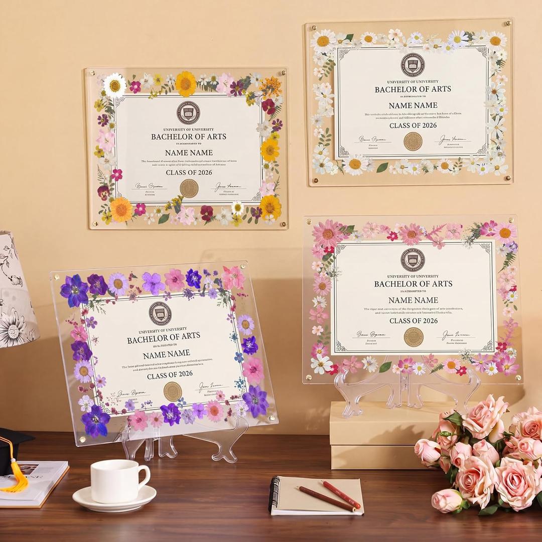 Novabright 4 Style 2026 8.5x11 Floral Acrylic Graduation Certificate Frame Pressed Flower Wall Mount Floating Picture Frame 11x14 A4 Photo for Diploma Degree Document Memory Picture Gift