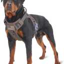 BUMBIN Tactical Dog Harness for Medium Dogs No Pull, Famous TIK Tok No Pull Dog Harness, Fit Smart Reflective Pet Walking Harness for Training, Adjustable Dog Vest Harness with Handle Brown (M(Neck:16-20", Chest:17-27"))