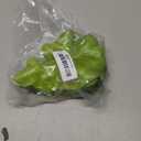 Giegxin 30 Pcs Green Fake Lettuce Artificial Lettuce Leaves Simulation Fake Vegetables Model PVC Realistic Food for Home Kitchen Festival Pub Party Decoration