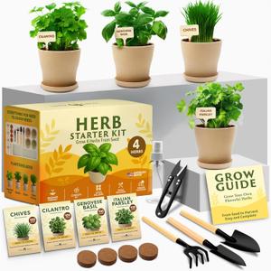 HOME GROWN Herb Garden Planter Indoor Kit  Unique Christmas Gift for Adults, Men, & Women - Grow 4 Heirloom Herb Seeds on Kitchen Window  Beginner DIY Craft & Hobby Gardening Gift for Plant Lovers
